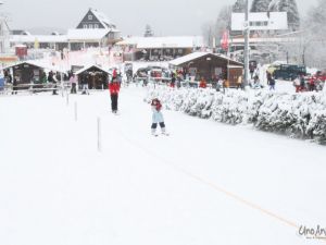 ua110122winterberg039.JPG